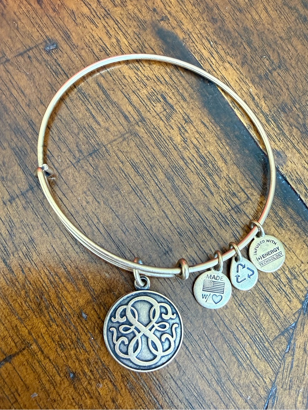 Alex and Ani Gold Tone Charm Bangle Bracelet with Signature Tags